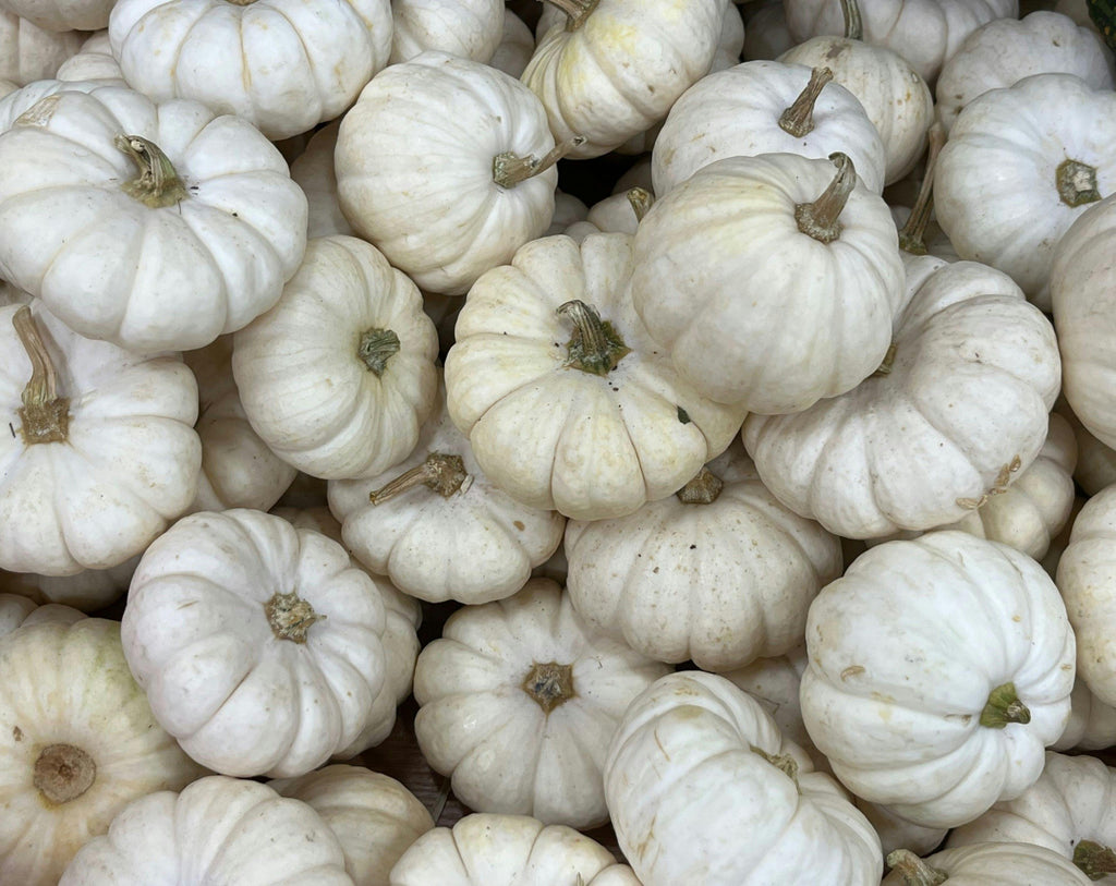 Curated Gourd Collection